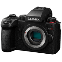 Цифровая фотокамера Panasonic Lumix G DC-G9M2EE Body