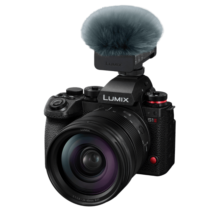 Мікрофон Panasonic DMW-DMS1E