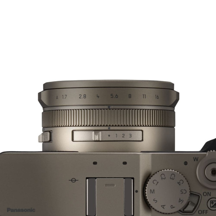 Цифрова фотокамера Panasonic Lumix DC-L10E-N