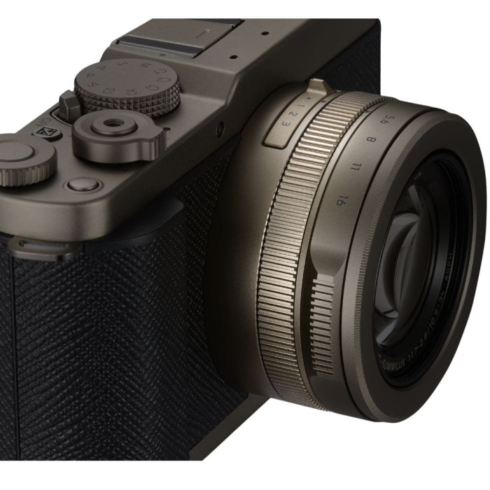 Цифрова фотокамера Panasonic Lumix DC-L10E-N