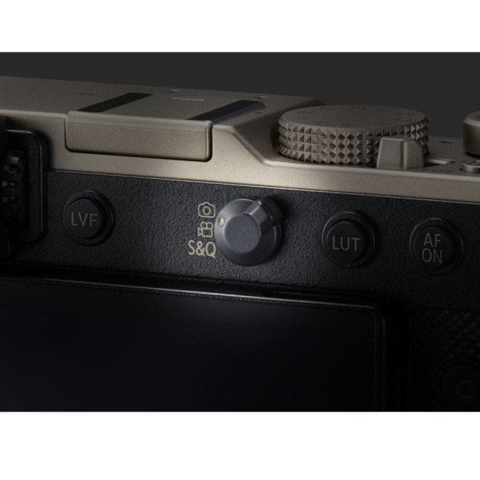 Цифрова фотокамера Panasonic Lumix DC-L10E-N