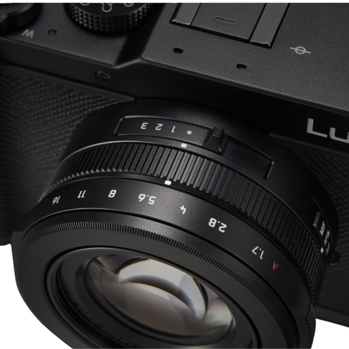 Цифрова фотокамера Panasonic Lumix DC-L10E-K (Black)
