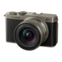 Цифрова фотокамера Panasonic Lumix S9 Titanium Black +18-40mm Kit DC-S9NE-NA (Titanium Lens)